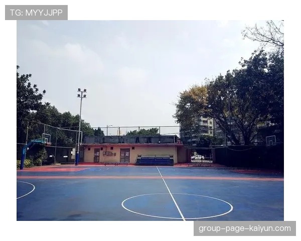 球场夜间应急照明智能监控部署指南，球场灯光照明数据参数